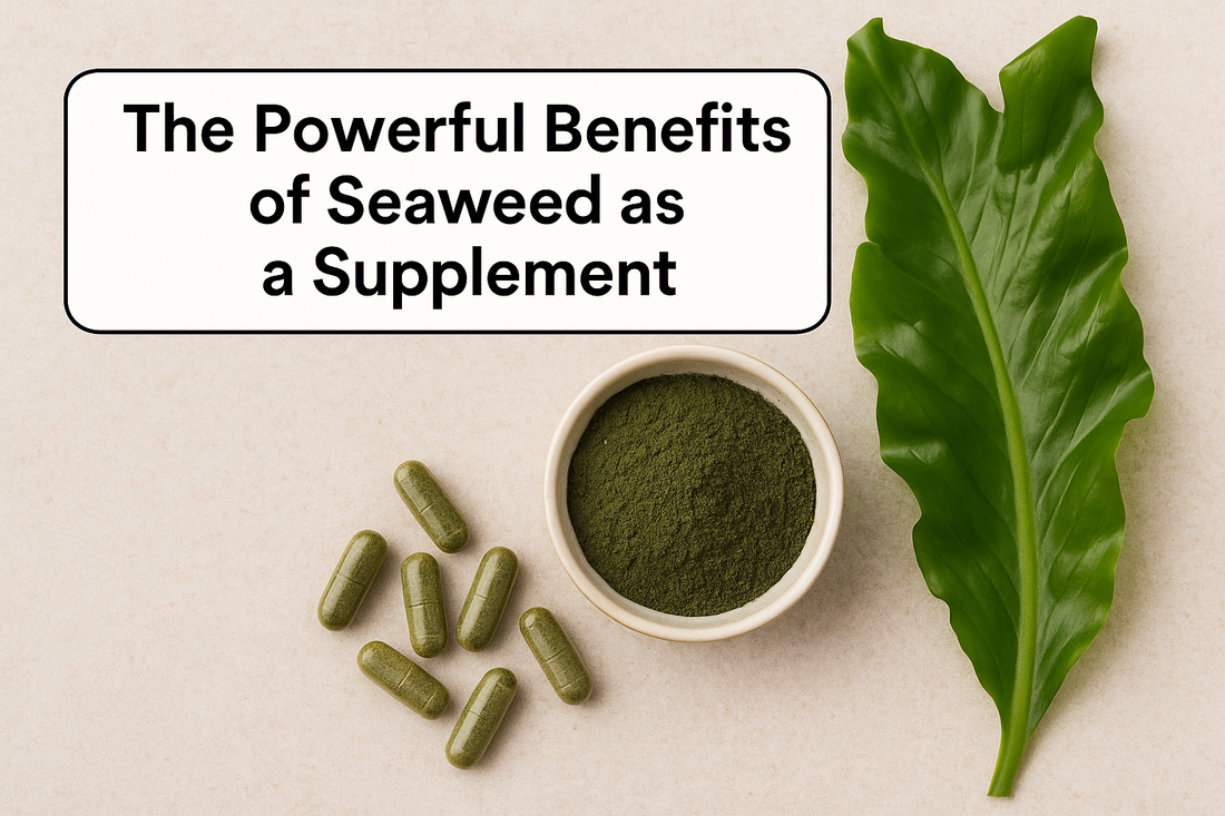 The Powerful Benefits of Seaweed as a Supplement