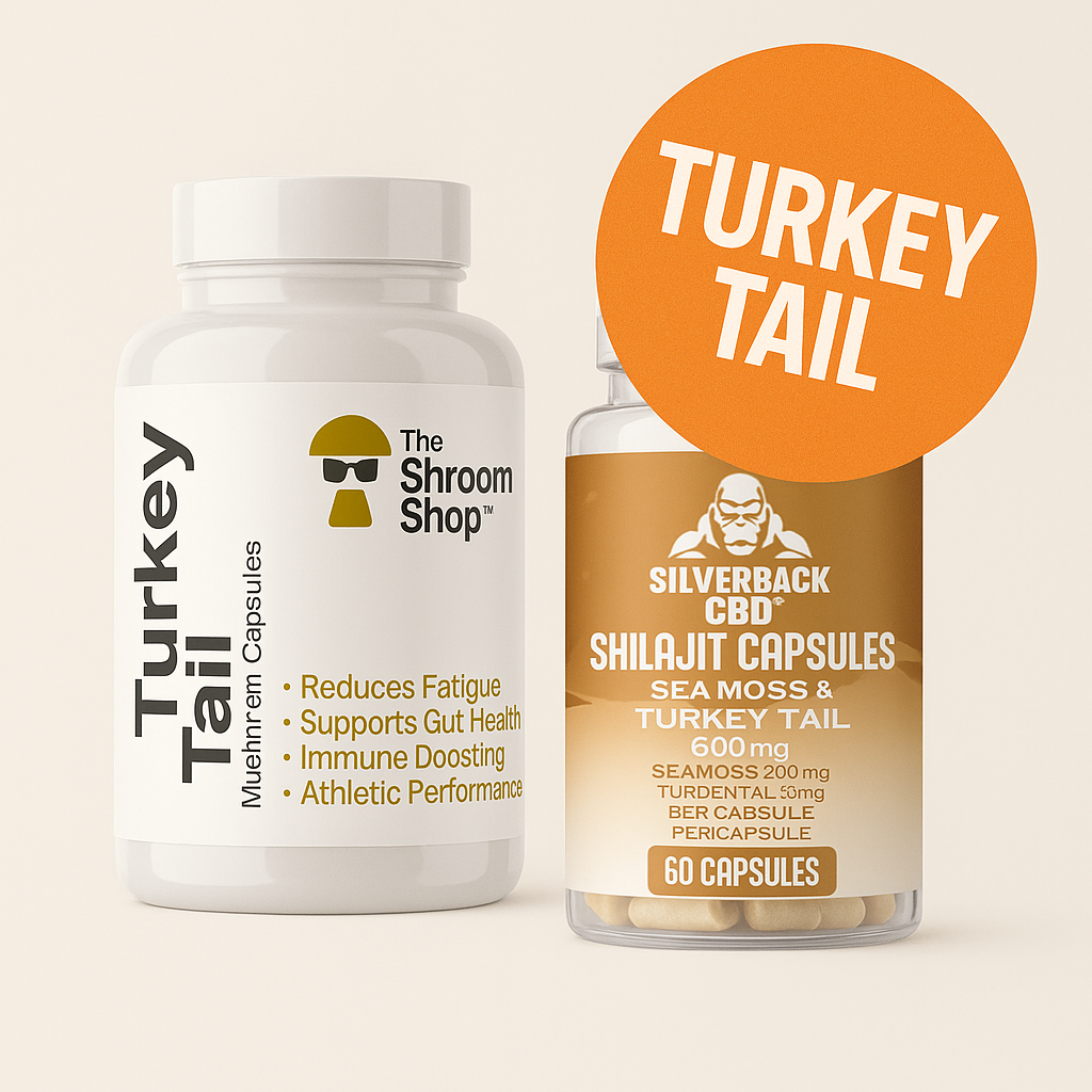 The Amazing Benefits of Turkey Tail and Why It Is Becoming a Must Have Supplement in the UK