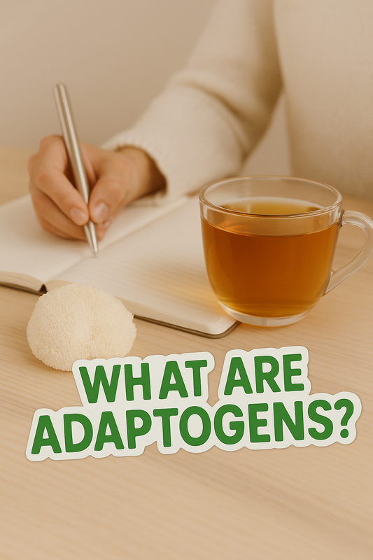 🌿 What Are Adaptogens and How Do They Improve Focus?