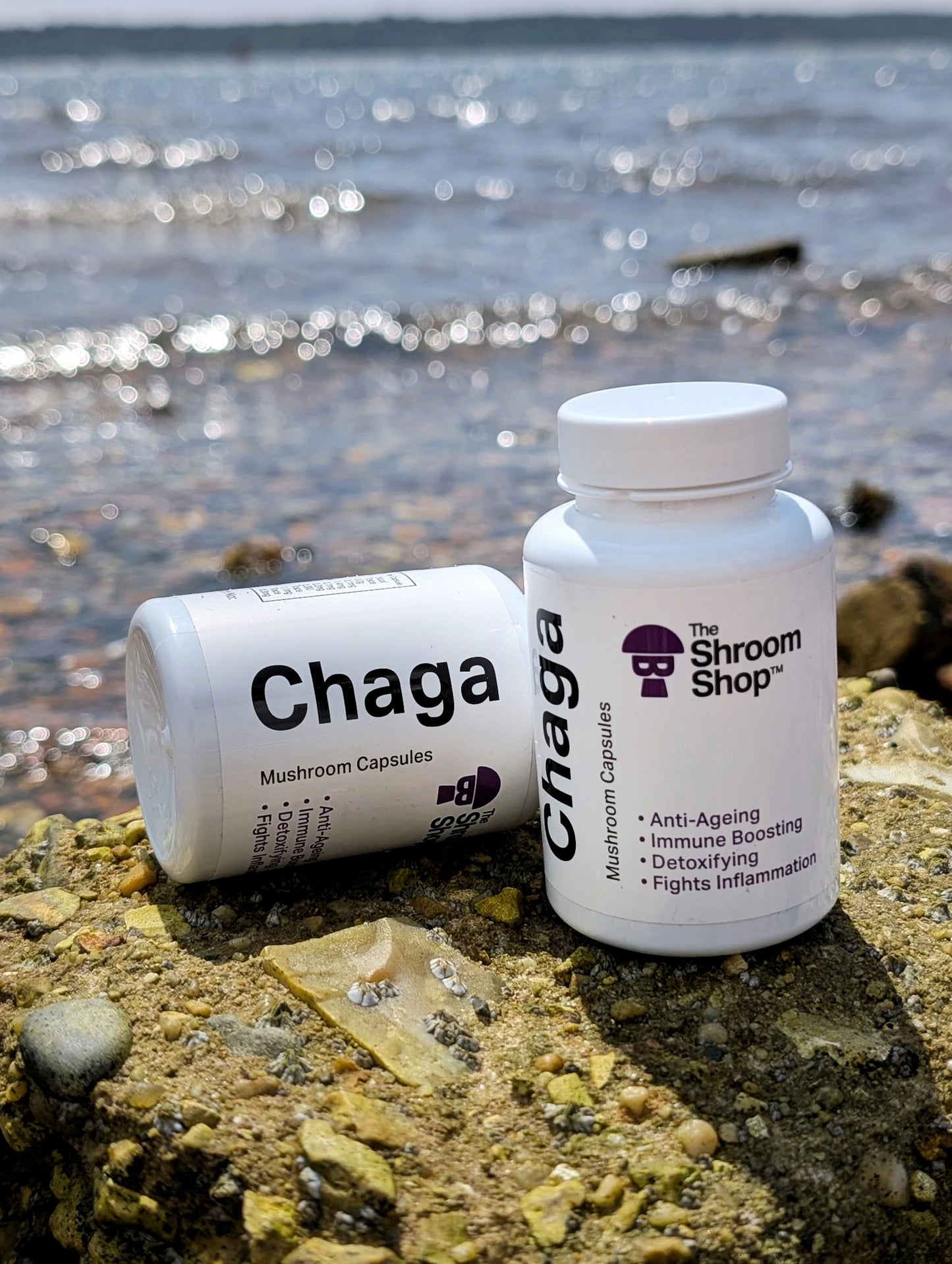 The Shroom Shop Chaga Mushroom 45000mg Capsules - 90 Caps