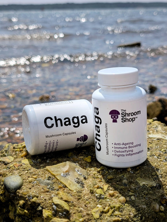 The Shroom Shop Chaga Mushroom 45000mg Capsules - 90 Caps
