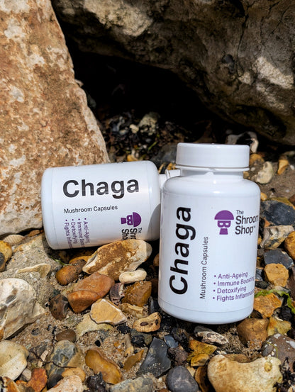 The Shroom Shop Chaga Mushroom 45000mg Capsules - 90 Caps